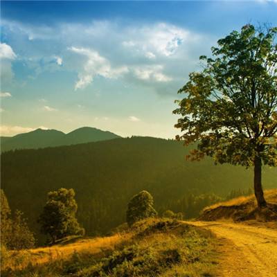 澳门4949资料免费大全